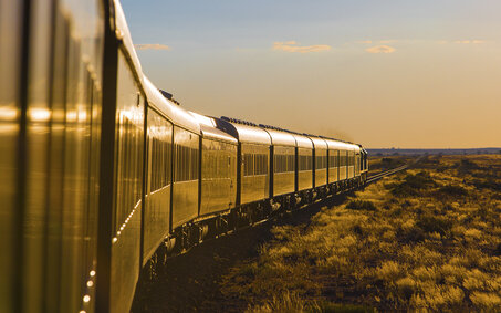 Ein langer Zug fährt im warmen Abendlicht durch die Savanne.