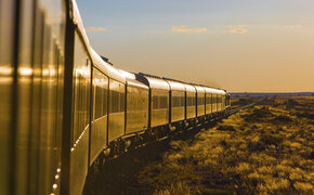Ein langer Zug fährt im warmen Abendlicht durch die Savanne.