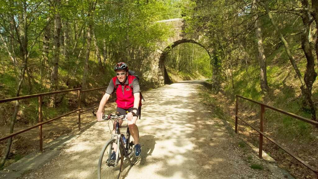 Radfahren_Triest_2015-04_HH_12_CMS.jpg Heinz Henninger