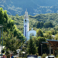 Weißer Kirchturm inmitten von grüner Vegetation