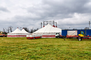 Die Zirkuszelte des Circus Pikard am Stellplatz in Baden.