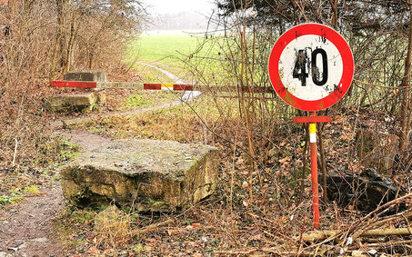 Schilda_Otmar Mayer_CMS.jpg