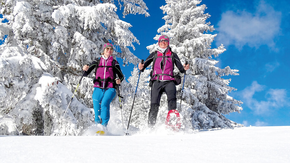 Schneeschuhwandern Steinplan Steiermark_CMS.JPG