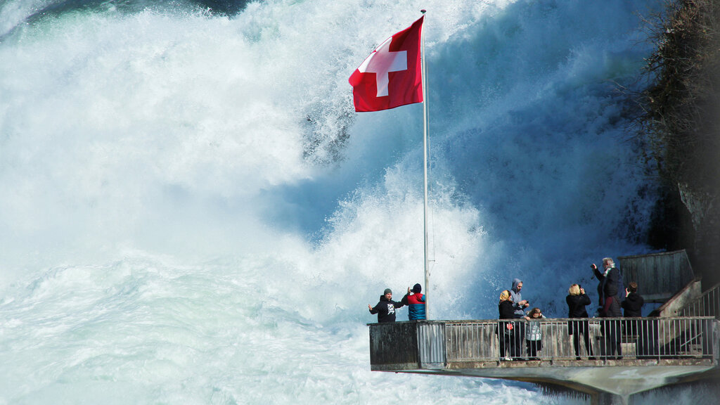 Schweiz_2015-04_Schaffhausen_DIGAT_FIB_01_CMS.jpg Roland Fibich