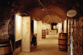 Kellergewölbe mit Weinfässern.