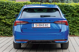 Skoda Octavia blau von hinten