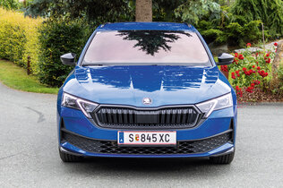 Skoda Octavia blau von vorne