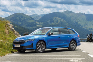 Skoda Octavia blau seitlich