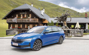 Skoda Octavia blau stehend