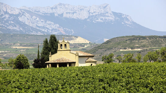 Im Land der großen Roten