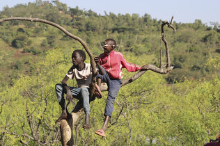 Kinder posieren auf einem kleinen Baum in Äthiopien.