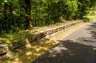 Thay_Gross Siegharts_9498_CMS.jpg