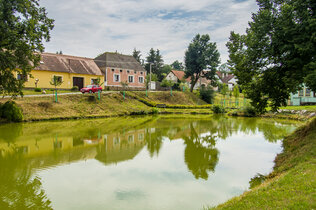 Thay_Slavonice_9802_CMS.jpg