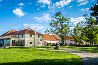 Thay_Slavonice_9959_CMS.jpg
