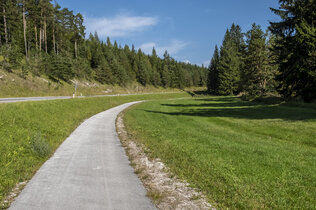 Traisentalradweg_HH_0416_CMS.jpg