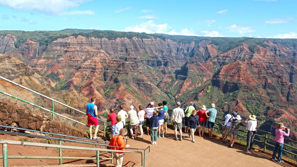 USA_Hawaii_2015-01_FIB_18_CMS.jpg Roland Fibich