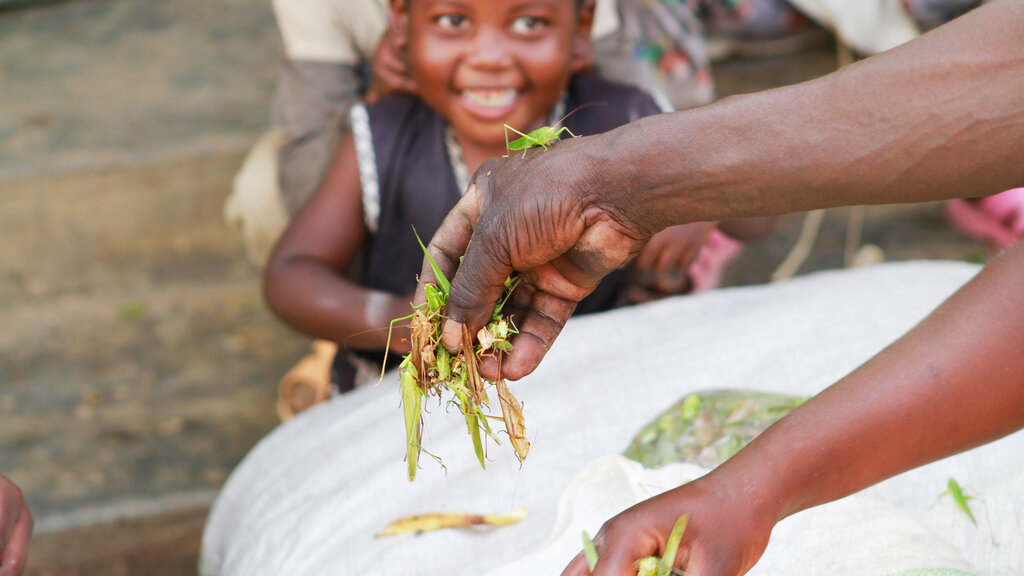 Uganda_2014-11_CB_1280_CMS.jpg Cornelia Buczolich