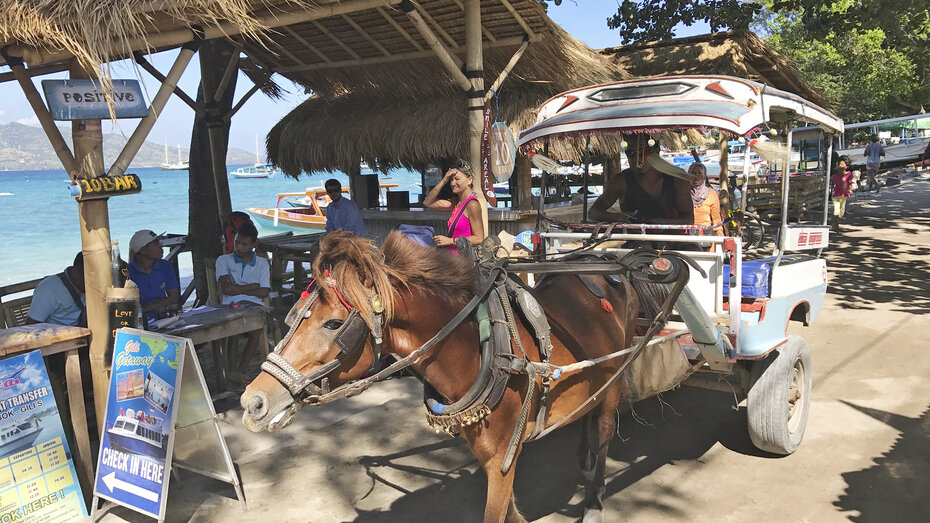 Pferdekutsche am Strand.
