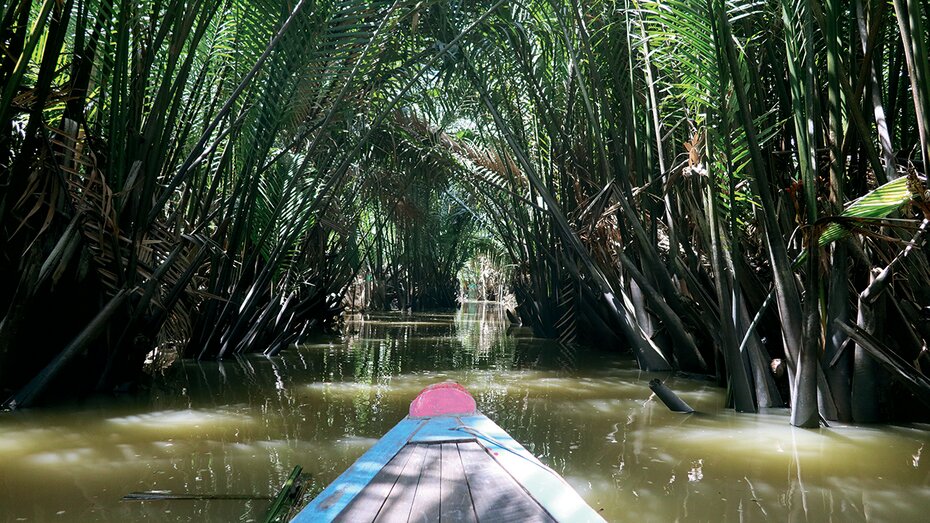 Ein Kanu fährt auf einem überwucherten Flussarm