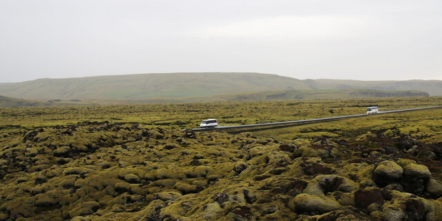 Die Straße geht durch getrocknete Lava, die mit Moos bedeckt ist. 