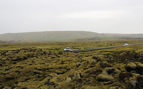 Die Straße geht durch getrocknete Lava, die mit Moos bedeckt ist. 