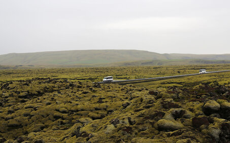 Die Straße geht durch getrocknete Lava, die mit Moos bedeckt ist. 