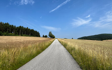 Ein Feldweg zwischen zwei Kornfeldern