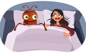 Illustration einer Frau, die im Bett neben einer überdimensionalen Wanze liegt