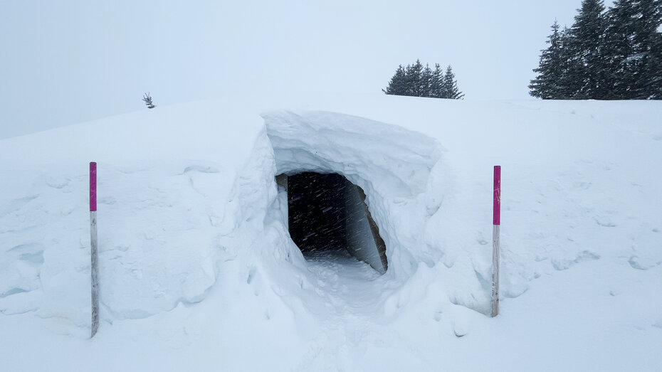 Ein verschneiter Eingang zu einer Höhle.