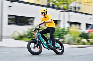 Yamaha Booster_Puch Maxi_0033_CMS.jpg