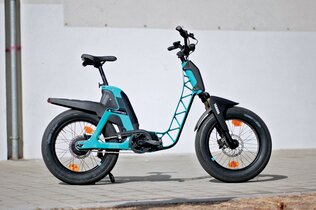 Yamaha Booster_Puch Maxi_0211_CMS.jpg