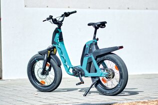 Yamaha Booster_Puch Maxi_0222_CMS.jpg