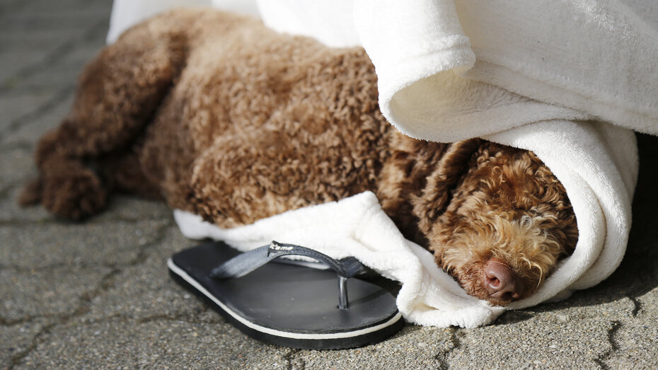 _B3A2898 Kopie_CMS.JPG