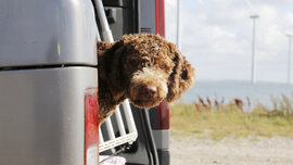 _B3A3016 Kopie_CMS.JPG