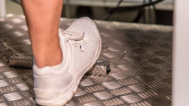 auto touring f Zug_HEN_1487_CMS.jpg