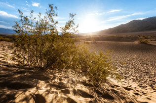 death_valley_2016-01_MZ_3er3_1.jpg