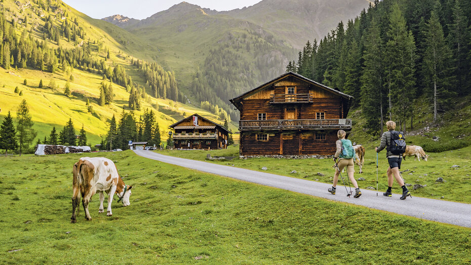 Eine Alm mit Wanderern, Kühen und Almhütten. 