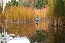eine Skulptur in einem Teich umgeben von buntem Schilf