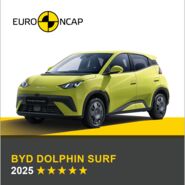 Auf dem Bild sieht man ein hellgrünes Auto. Darüber das Logo des Crashtest-Konsortiums Euro NCAP. Unter dem Auto steht in gelber Schrift auf grauem Hintergrund, um welches Fahrzeug es sich handelt sowie die Sternebewertung, in weißer Schrift das Jahr des Tests.