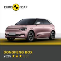 Crashtest: Dongfeng BOX Crashtest: Dongfeng BOX ÖAMTC/Euro NCAP