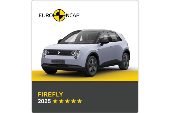Auf dem Bild sieht man ein graues Auto. Darüber das Logo des Crashtest-Konsortiums Euro NCAP. Unter dem Auto steht in gelber Schrift auf grauem Hintergrund, um welches Fahrzeug es sich handelt sowie die Sternebewertung, in weißer Schrift das Jahr des Tests.