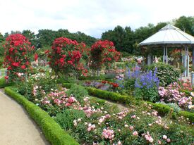 Ein Pavillon in einem Park umgeben von bunten Blumen