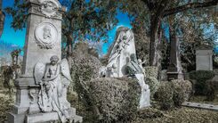 Friedhof Wien