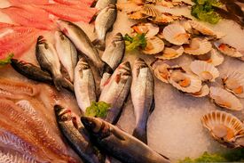Fische und Meeresfrüchte auf Eis