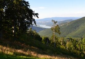 Ausblick auf die Donau und Hügellandschaft im Pilisgebirge