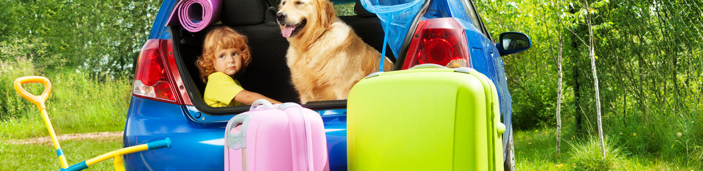 Ein blaues Autos befindet sich mit offenem Kofferraum in einem Garten. Im Kofferraum sitzen ein Kleinkind und ein Hund. Vor dem Auto stehen u.a. zwei Koffer und ein Tretroller - Gepäck für den Sommerurlaub.