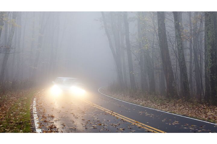 Ein Fahrzeug fährt mit Abblendlicht durch eine neblige und von Laub teilweise bedeckte Waldstraße