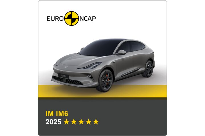 Auf dem Bild sieht man ein graues Auto. Darüber das Logo des Crashtest-Konsortiums Euro NCAP. Unter dem Auto steht in gelber Schrift auf grauem Hintergrund, um welches Fahrzeug es sich handelt sowie die Sternebewertung, in weißer Schrift das Jahr des Tests.