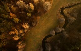 Drohne Naturschutz Pixabay