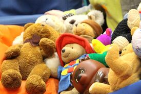Paddington Bär und weitere Stoffbären